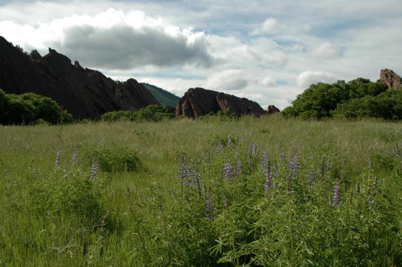 20050604Roxborough349