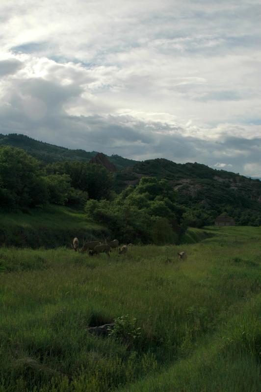 20050604Roxborough577
