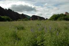 20050604Roxborough349