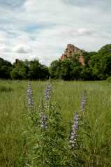 20050604Roxborough351