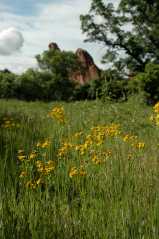 20050604Roxborough377