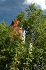 20050604Roxborough407