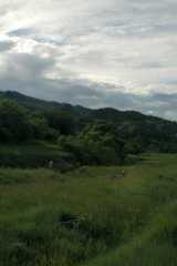 20050604Roxborough577