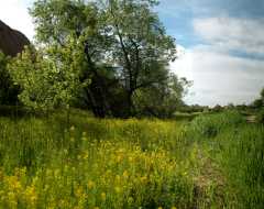 20050604RoxboroughPano1