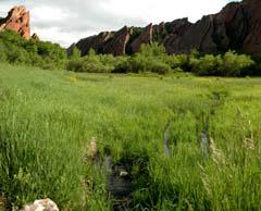 20050604RoxboroughPano2