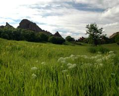 20050604RoxboroughPano3