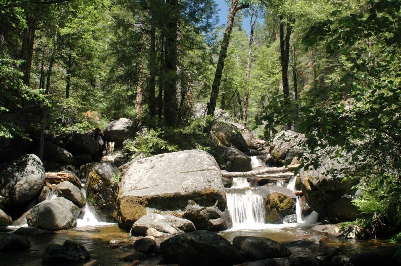 2005YosemiteAlderCreek6582