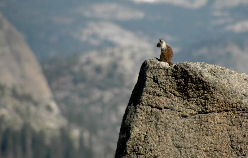 2005YosemiteGlacierPoint6734