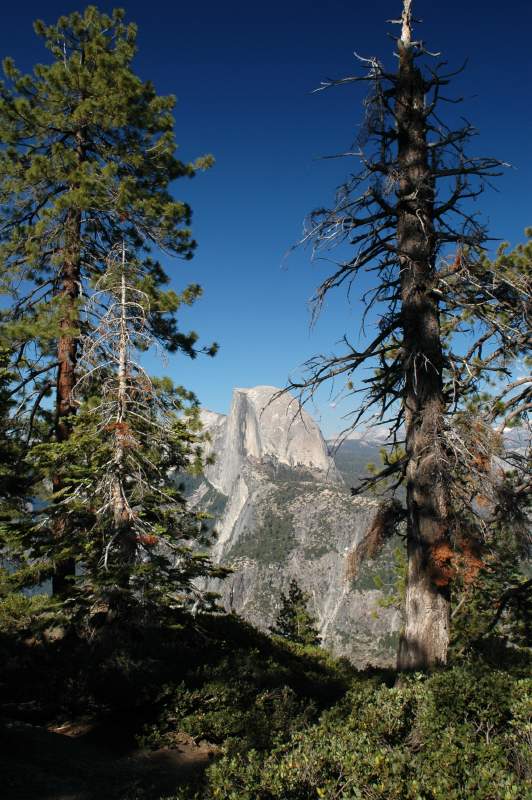 2005YosemiteGlacierPoint6773