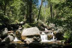 2005YosemiteAlderCreek6582