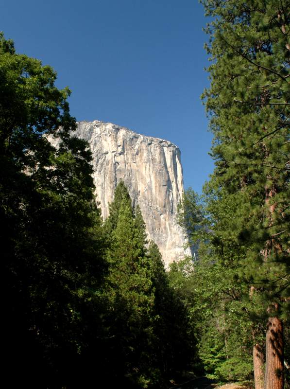 2005YosemiteElCapitan7116