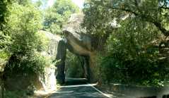 2005YosemiteDriving6923