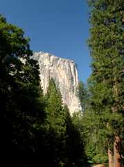2005YosemiteElCapitan7116