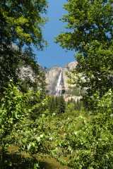 2005YosemiteFalls7022