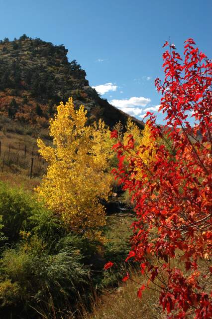 20051016FallColor01