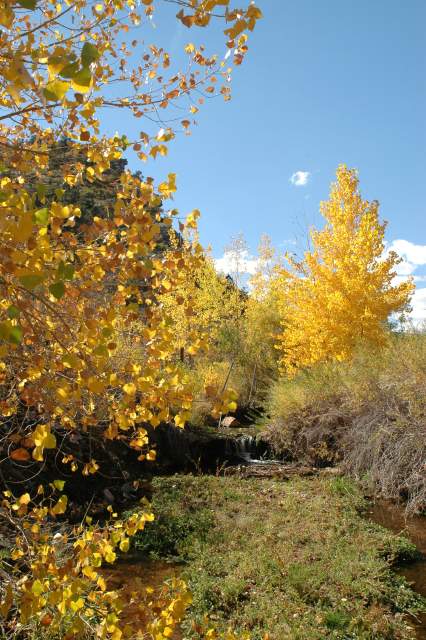 20051016FallColor03