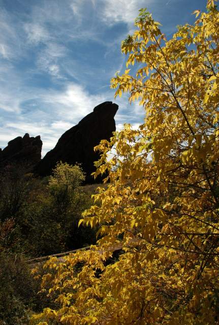 20051016FallColor08