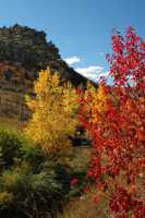 20051016FallColor01
