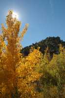 20051016FallColor04