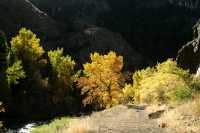 20051016FallColor05