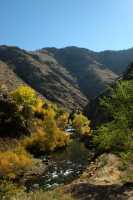 20051016FallColor07