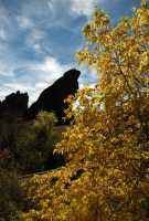 20051016FallColor08