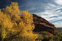 20051016FallColor10