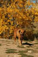 20051016FallColor12