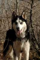 20051224DogPark902
