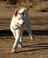 20051224DogPark929