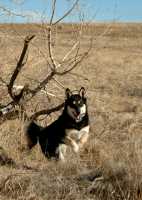 20060101DogPark004