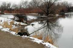 20060319DogPark723
