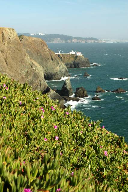 20060511SanFran8996