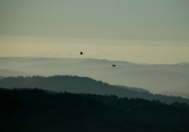 20060515MtTam9445ph