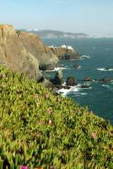 20060511SanFran8996