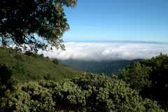 20060515MtTam9331