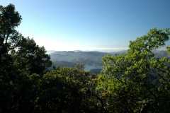 20060515MtTam9352