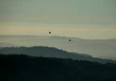 20060515MtTam9445ph