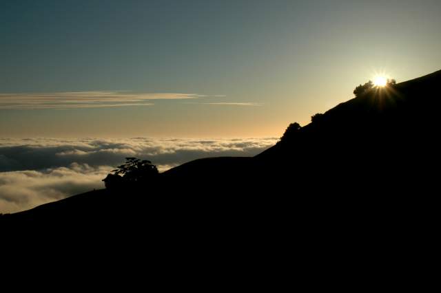 20060515MtTam9515