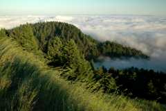 20060515MtTam9486