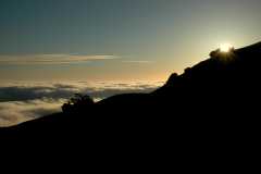 20060515MtTam9515