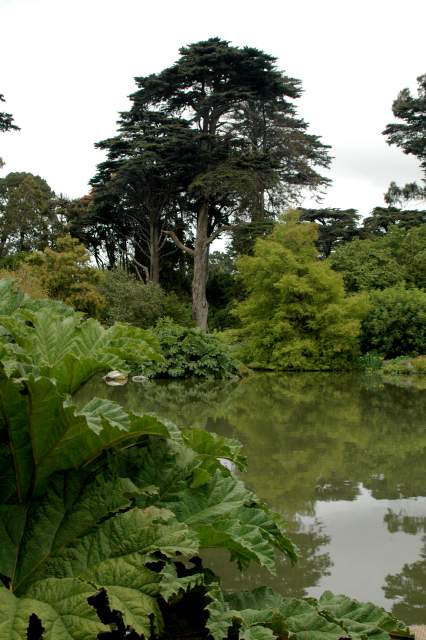 20060520SanFran1341