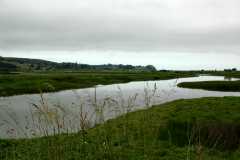 20060520HumboldtBay0849