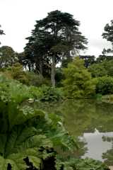 20060520SanFran1341