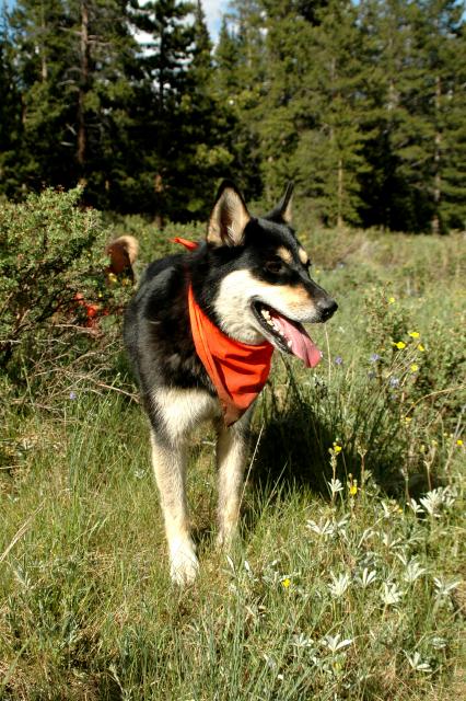 20060625Camping2298