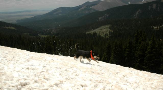 20060625Camping2832