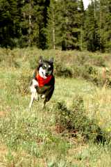20060625Camping2177