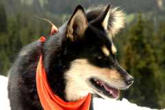 20060625Camping2848