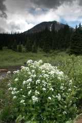 20060625Camping2894