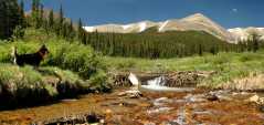 20060625Campingpano2
